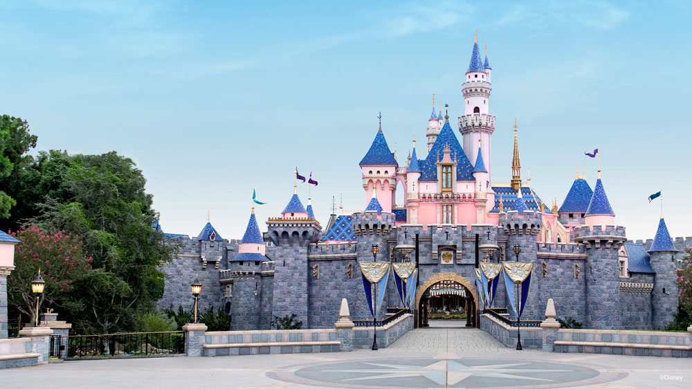 Disneyland Zoom background
