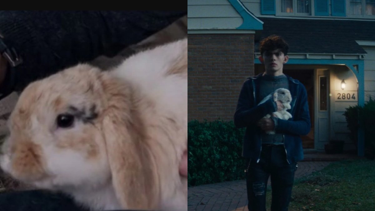 All the WANDAVISION Characters Who Appear in AGATHA ALL ALONG_5